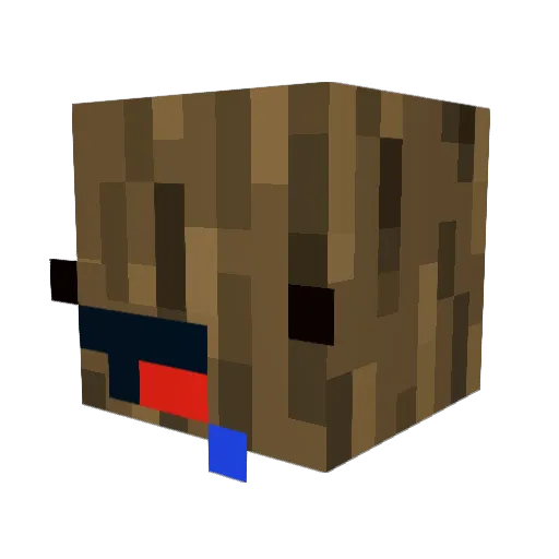 Holzbruder Minecraft avatar head, 3D render