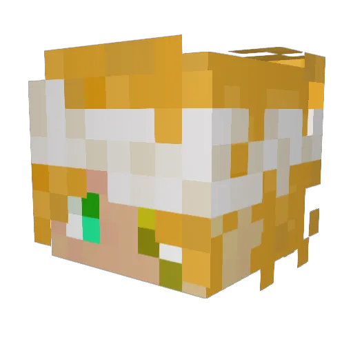 Holziger_Tim Minecraft avatar head, 3D render