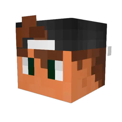 HomeBoyTomTeddy Minecraft avatar head, 3D render