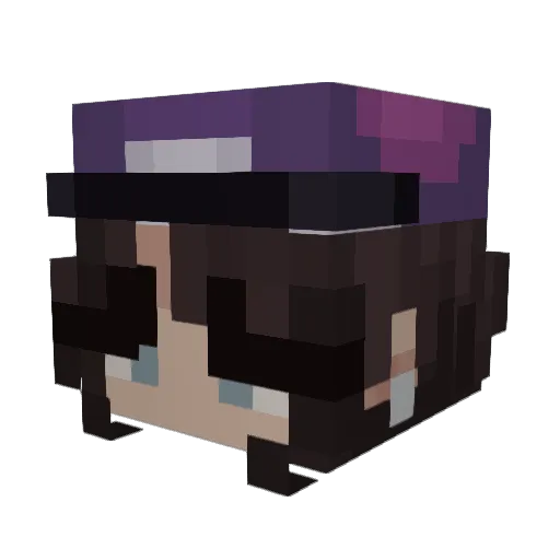 HomeFall4874708 Minecraft avatar head, 3D render
