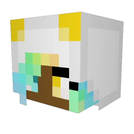 Home_Schooled Minecraft avatar head, 3D render