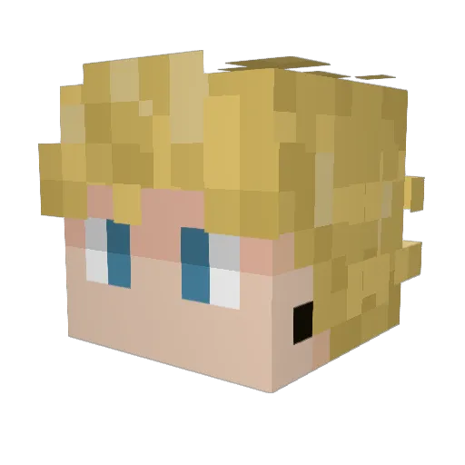 Homebrew_Hobo Minecraft avatar head, 3D render