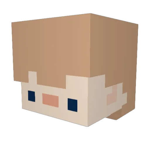 HomelessHomie176 Minecraft avatar head, 3D render