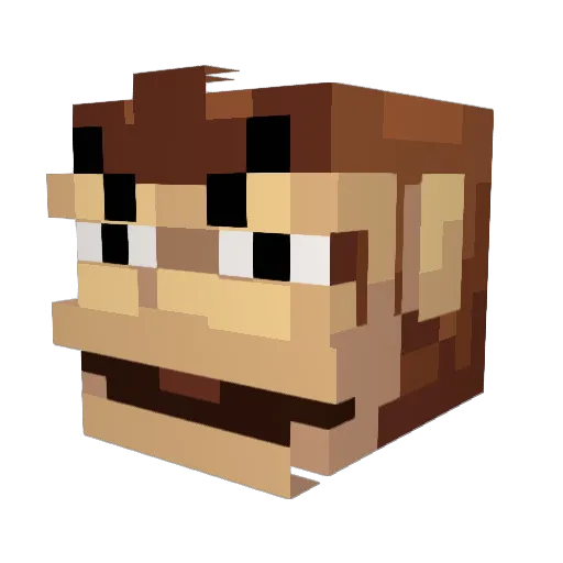 HomelessMonkey_ Minecraft avatar head, 3D render