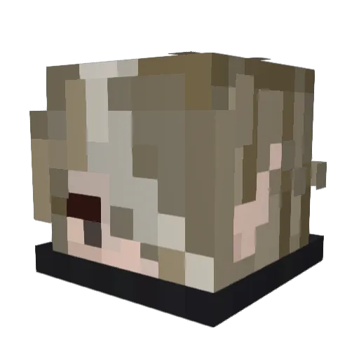 HomelessMylo Minecraft avatar head, 3D render
