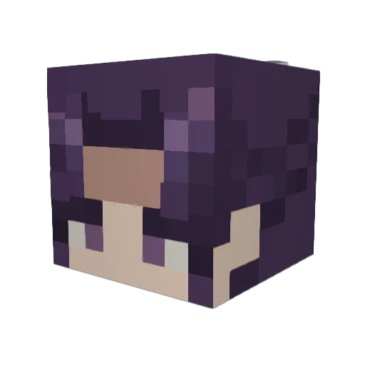 HomelessWrestler Minecraft avatar head, 3D render