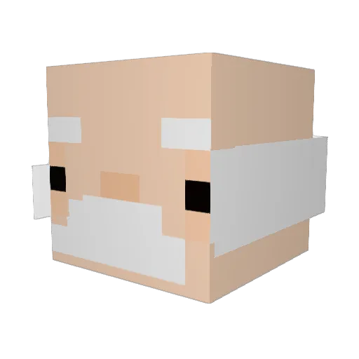 Homeless_Jhoe Minecraft avatar head, 3D render