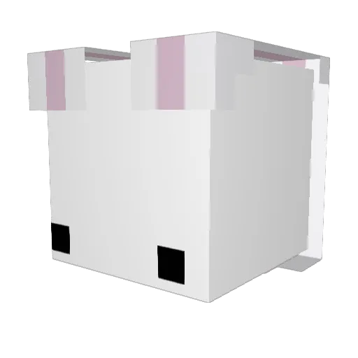 Homeless_Rabbit Minecraft avatar head, 3D render