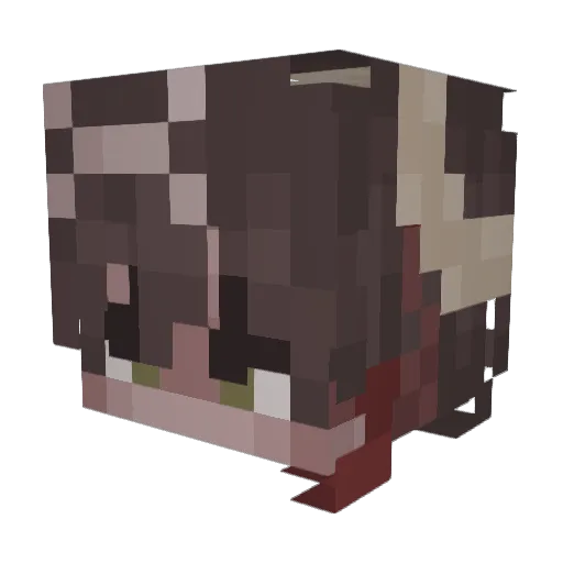 HomemadeLemons Minecraft avatar head, 3D render