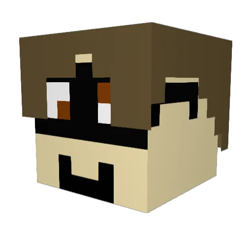 Homi555 Minecraft avatar head, 3D render