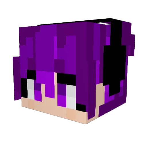 HomieMonster644 Minecraft avatar head, 3D render