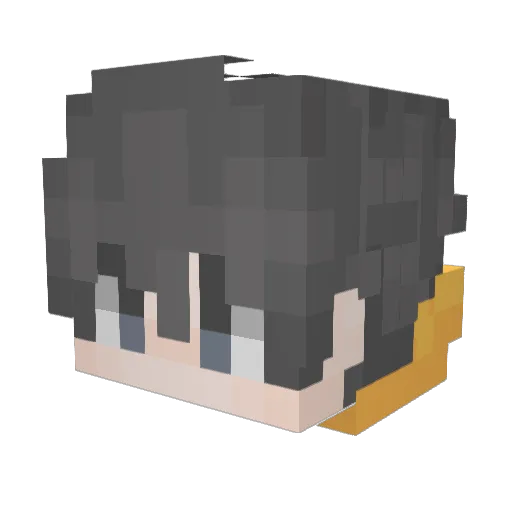HomlessNon Minecraft avatar head, 3D render