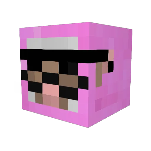 HomoDirt Minecraft avatar head, 3D render