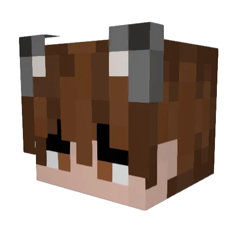 Homo_equal_bad Minecraft avatar head, 3D render