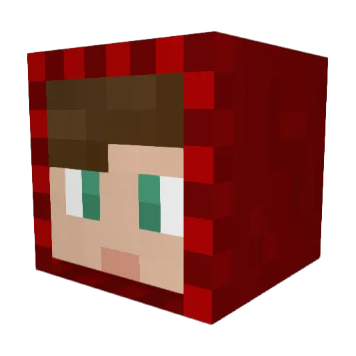 Hondune Minecraft avatar head, 3D render