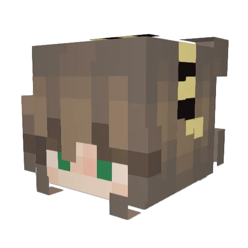 HoneyBe123 Minecraft avatar head, 3D render