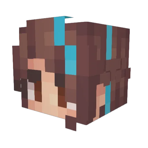 HoneyBea423 Minecraft avatar head, 3D render