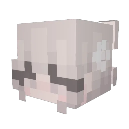 HoneyBee25 Minecraft avatar head, 3D render