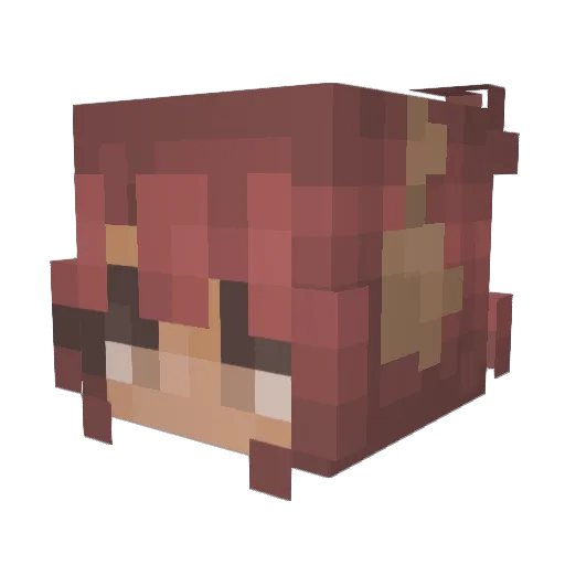 HoneyBeeBear80 Minecraft avatar head, 3D render