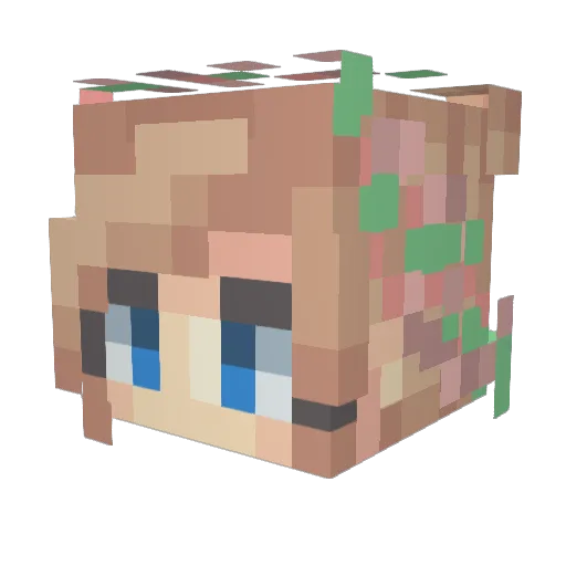 HoneyBeezuz Minecraft avatar head, 3D render
