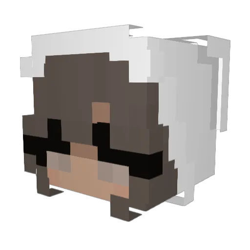 HoneyBoo16 Minecraft avatar head, 3D render