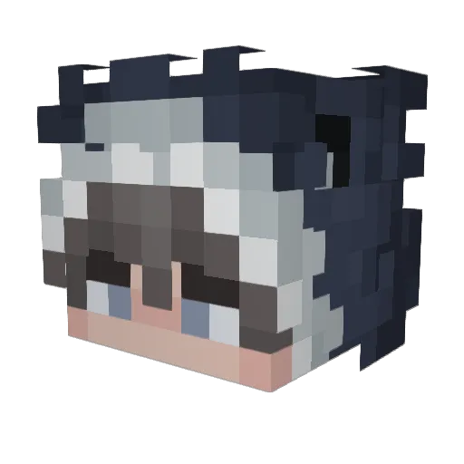HoneyBucks Minecraft avatar head, 3D render