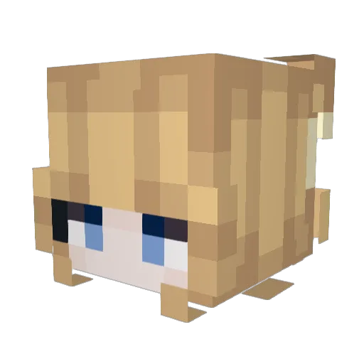 HoneyCraving Minecraft avatar head, 3D render