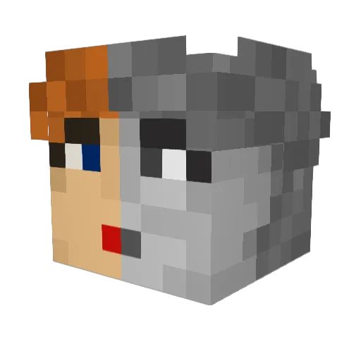 HoneyDarlin2 Minecraft avatar head, 3D render