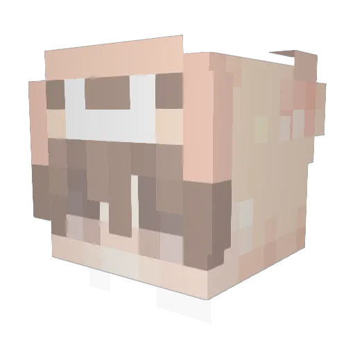 HoneyKi Minecraft avatar head, 3D render