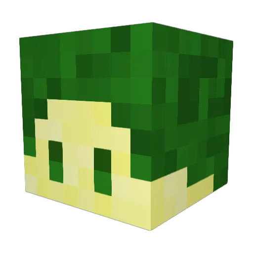 HoneyLemonCandy Minecraft avatar head, 3D render