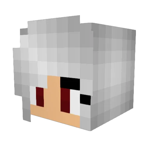 HoneyWelll Minecraft avatar head, 3D render