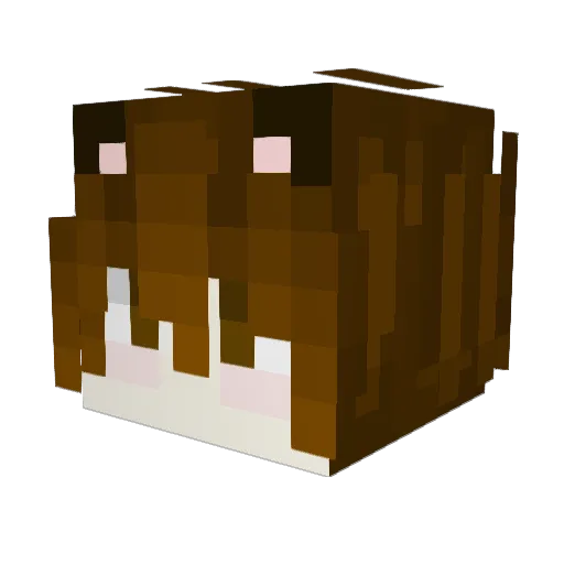 Honey_BDF Minecraft avatar head, 3D render