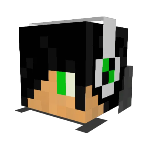 Honey_Badger_DC Minecraft avatar head, 3D render