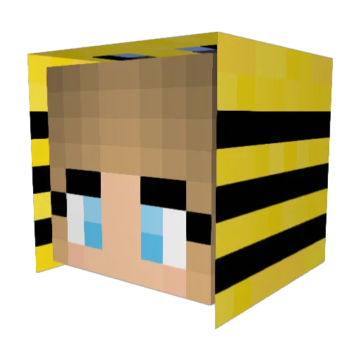 Honey_Bee2011 Minecraft avatar head, 3D render