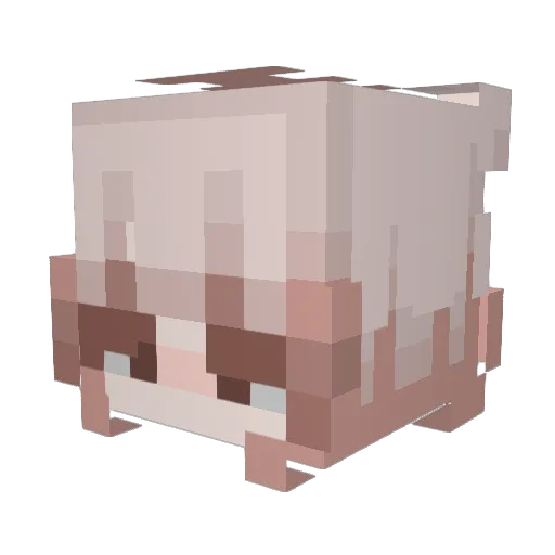 Honey_Bubbles Minecraft avatar head, 3D render