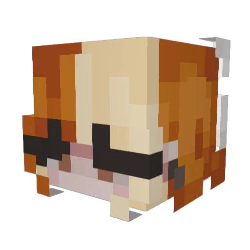 Honey_Polecat Minecraft avatar head, 3D render