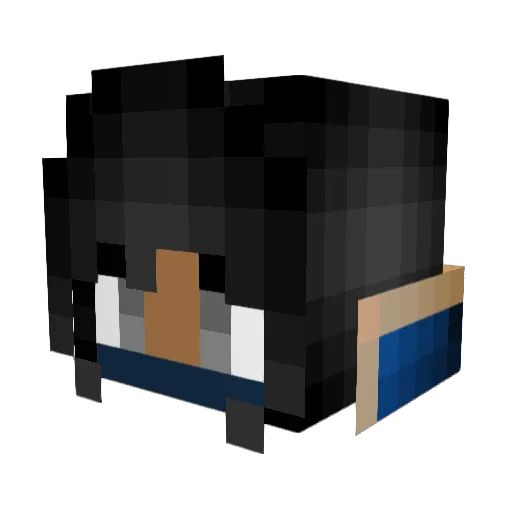 Honeybee8286 Minecraft avatar head, 3D render