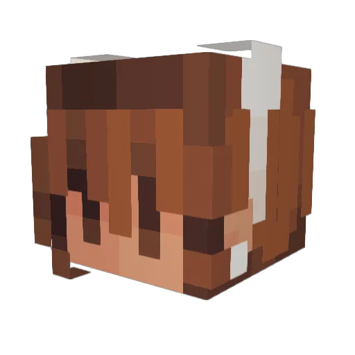 Honeybee95 Minecraft avatar head, 3D render
