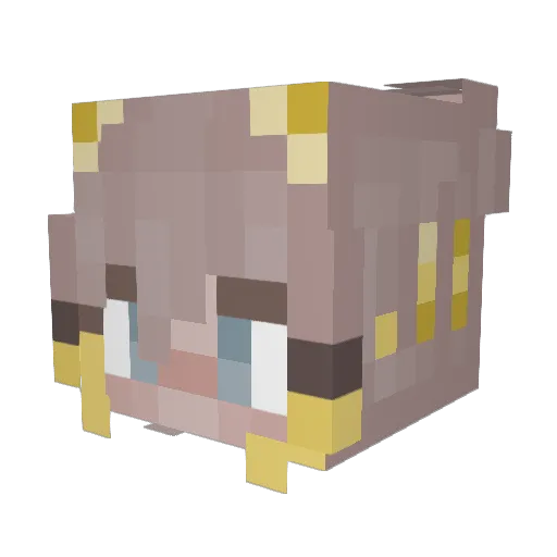 Honeybee_Boots Minecraft avatar head, 3D render