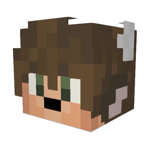 HoneycombCatBee Minecraft avatar head, 3D render