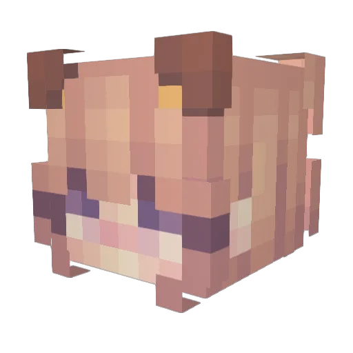HoneycombVi Minecraft avatar head, 3D render