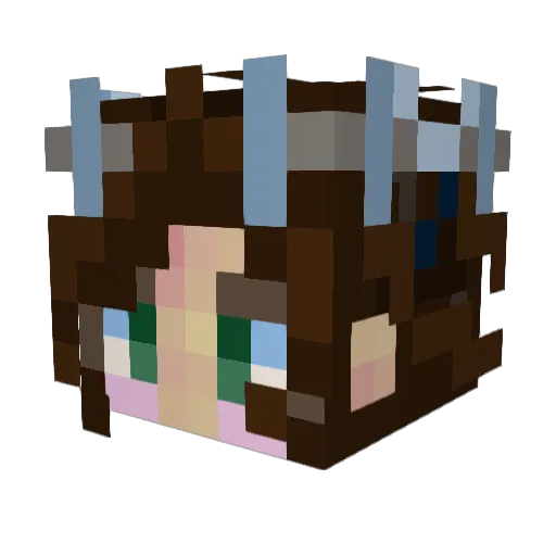 HoneyteaBiscuits Minecraft avatar head, 3D render