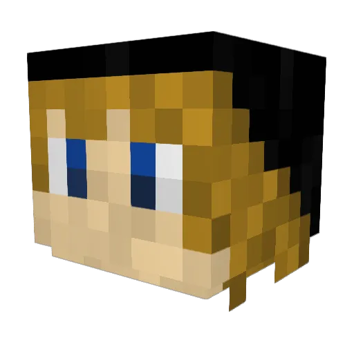 Hong1815 Minecraft avatar head, 3D render
