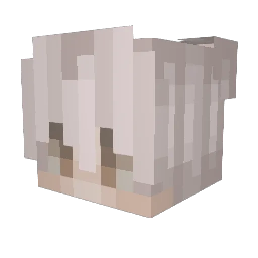 Honk Minecraft avatar head, 3D render