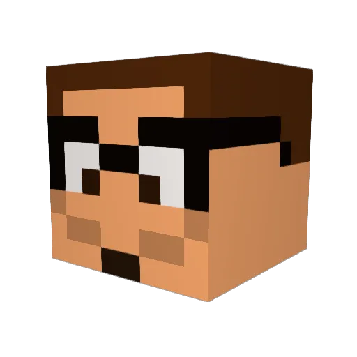 HonkHill Minecraft avatar head, 3D render