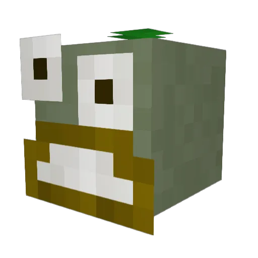 Honk_Hogert Minecraft avatar head, 3D render