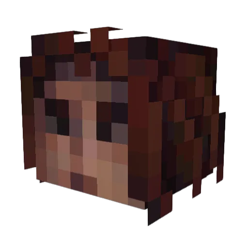 Honourary Minecraft avatar head, 3D render