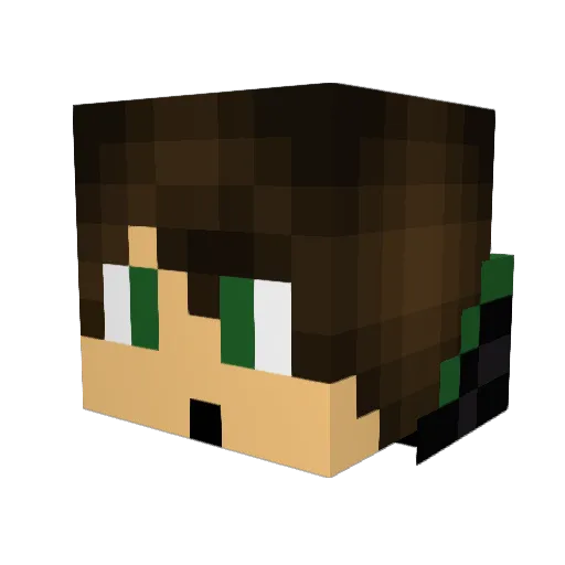 Honza__ Minecraft avatar head, 3D render