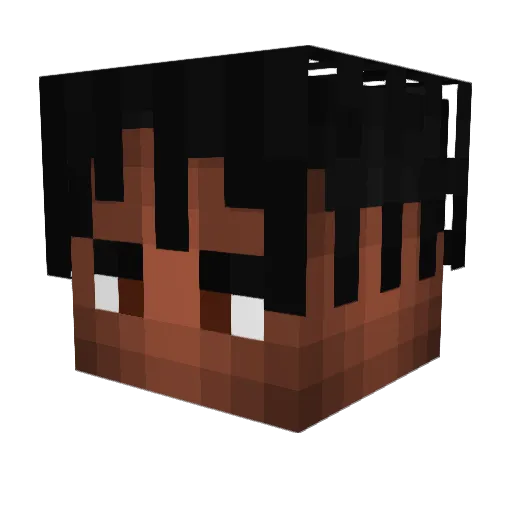 Honzikoss Minecraft avatar head, 3D render