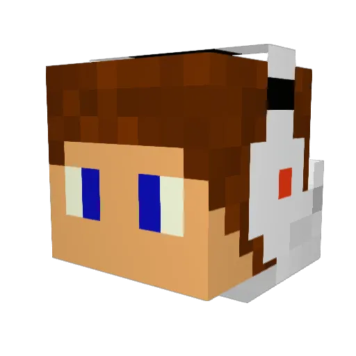 Hooby88 Minecraft avatar head, 3D render